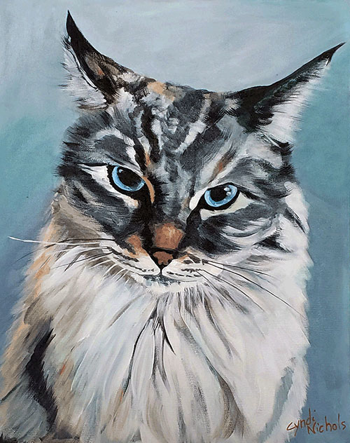 Blue Cat
