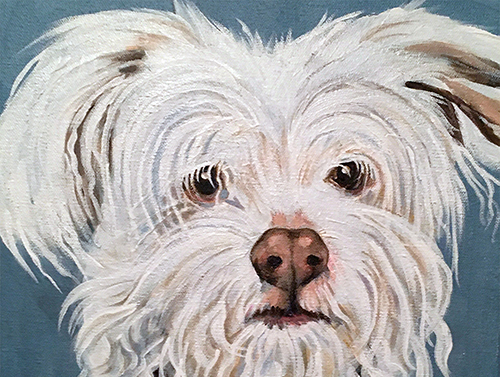 Buster