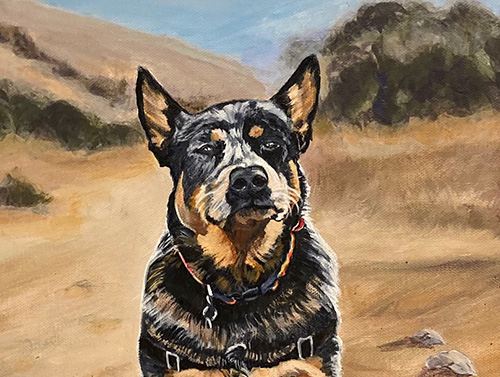 Maverick